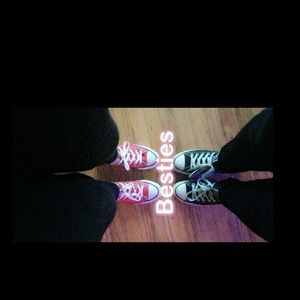 Meet your Posher, Sammie